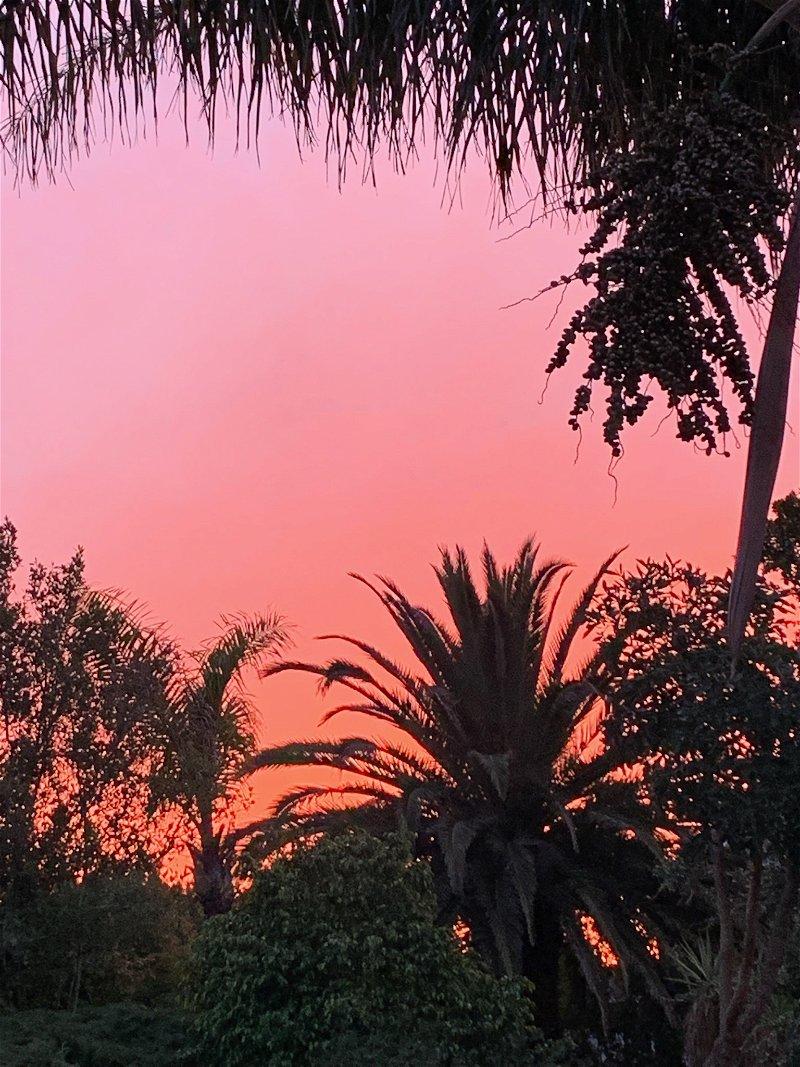 Africa Lodge Somerset West Bagian luar foto